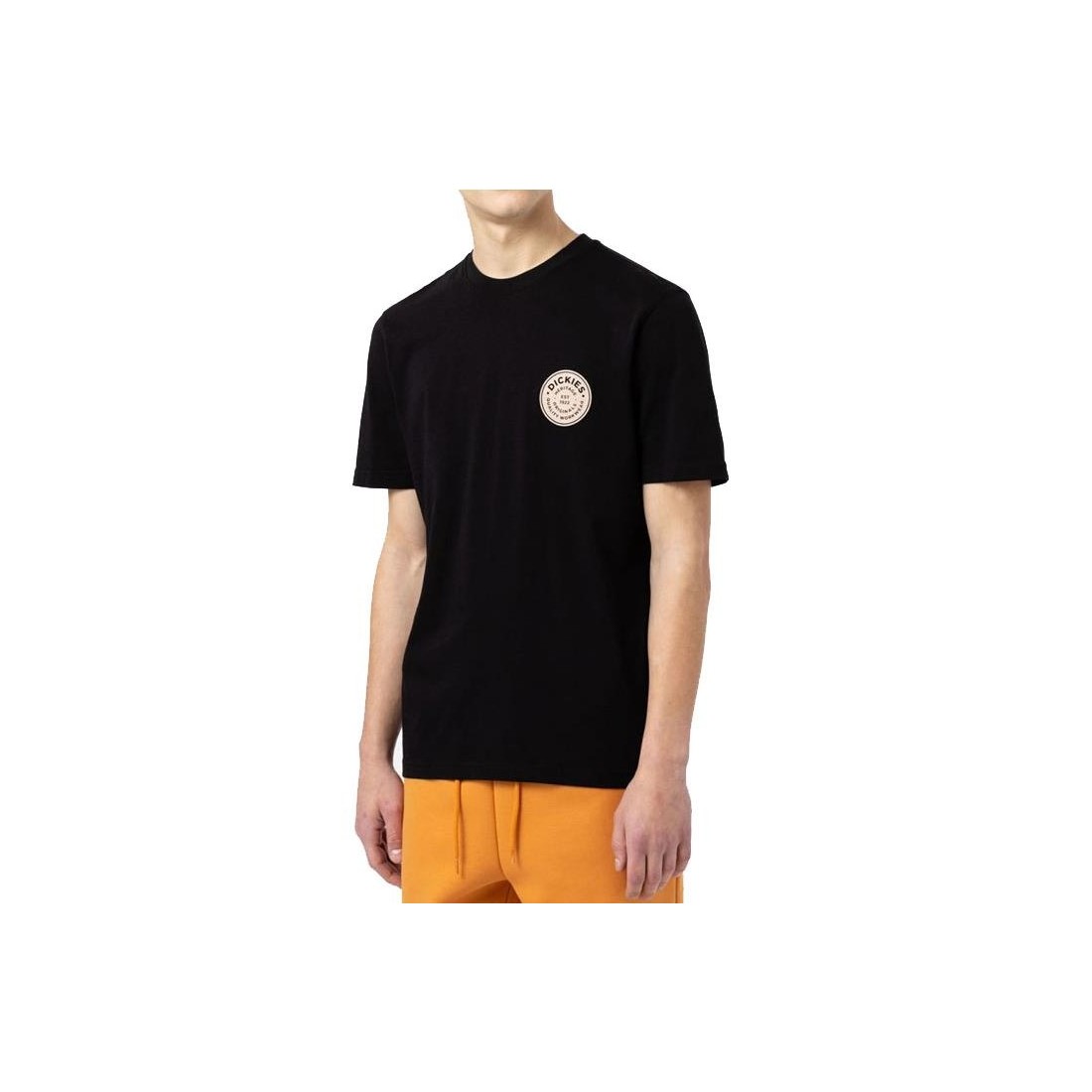 DICKIES WOODINVILLE TEE NEGRO