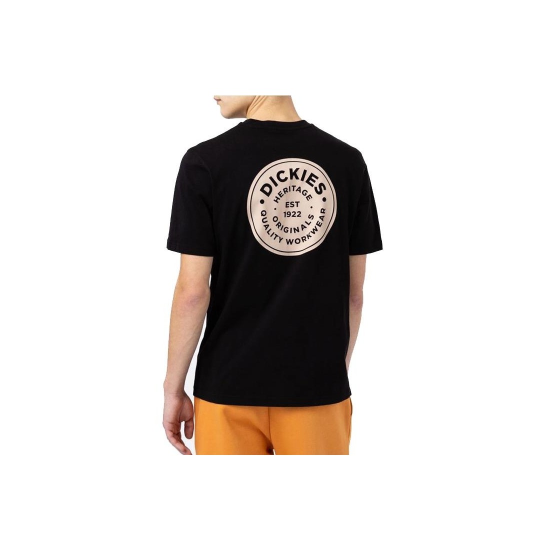DICKIES WOODINVILLE TEE NEGRO