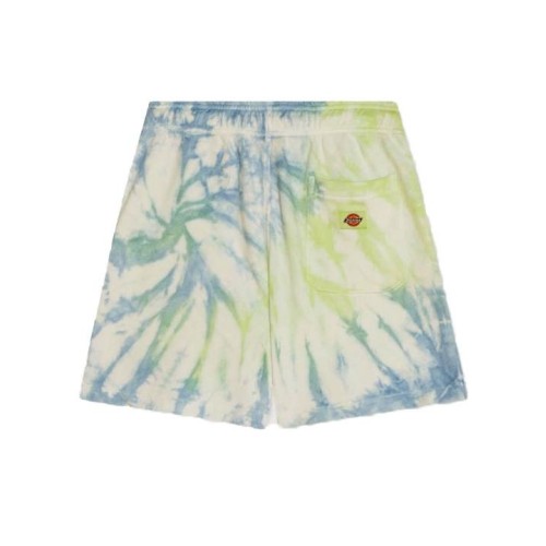 DICKIES SEATAC SHORT PISTACHO