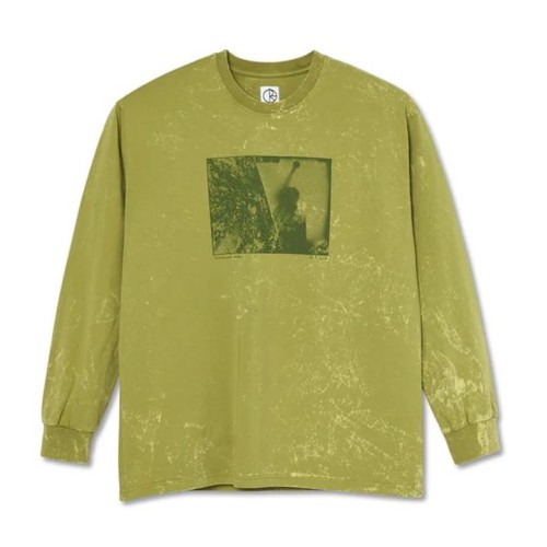 POLAR LEAVES AND WINDOW LS VERDE