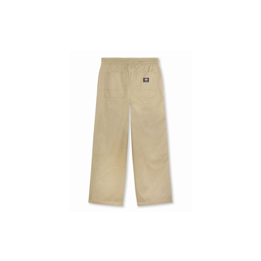 DICKIES MOUNT VISTA PANT
