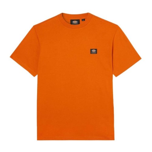 DICKIES MOUNT VISTA TEE