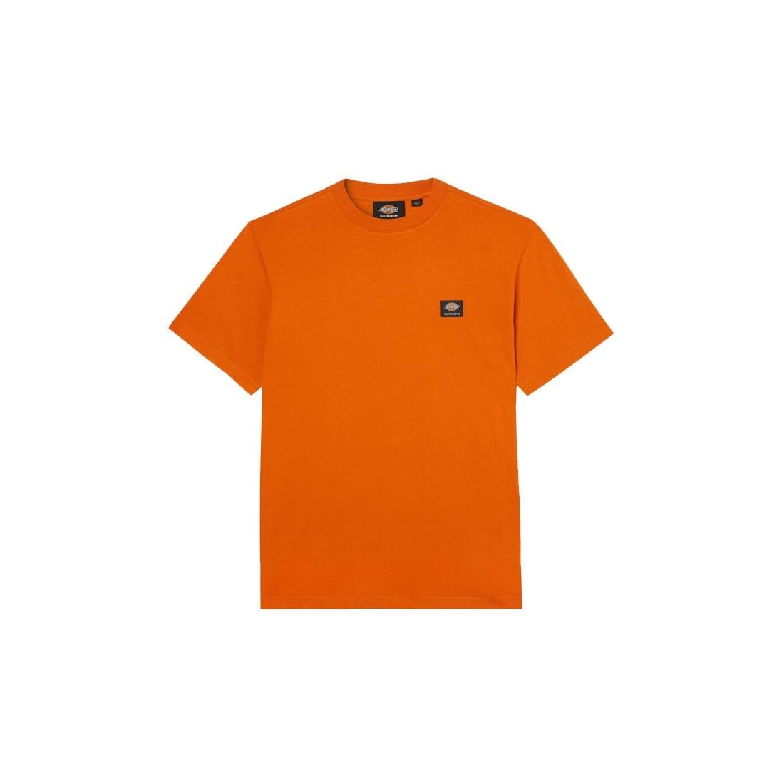 DICKIES MOUNT VISTA TEE