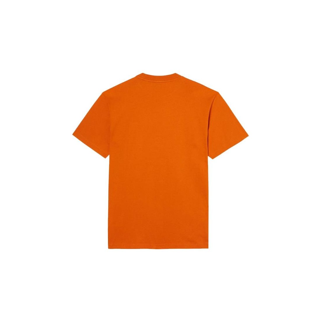 DICKIES MOUNT VISTA TEE