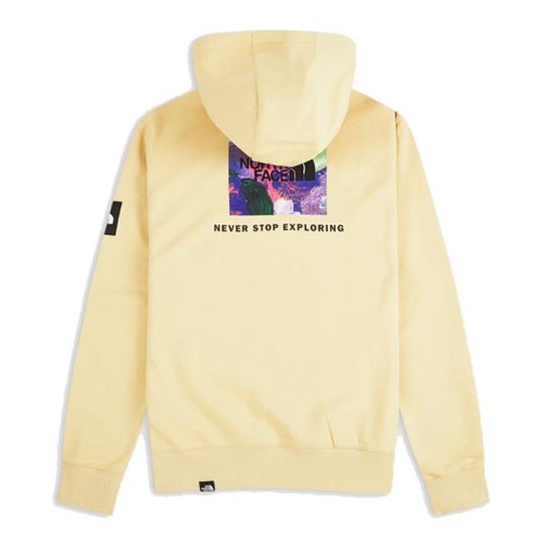 THE NORTH FACE GRAPHIC HOODIE BEIGE 2