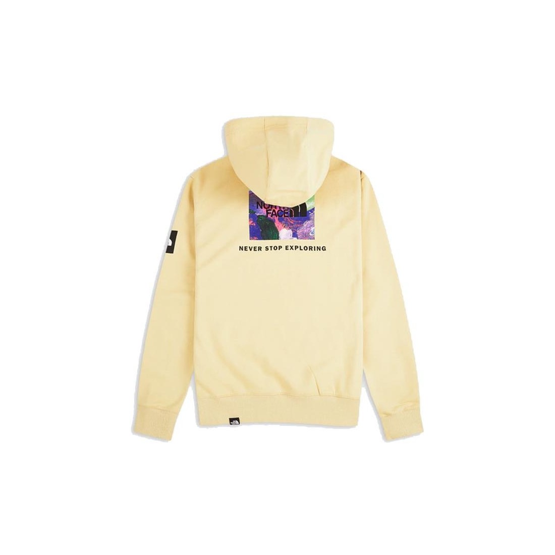 THE NORTH FACE GRAPHIC HOODIE BEIGE