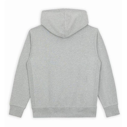 DICKIES MOUNT VISTA HOODIE GRIS 2