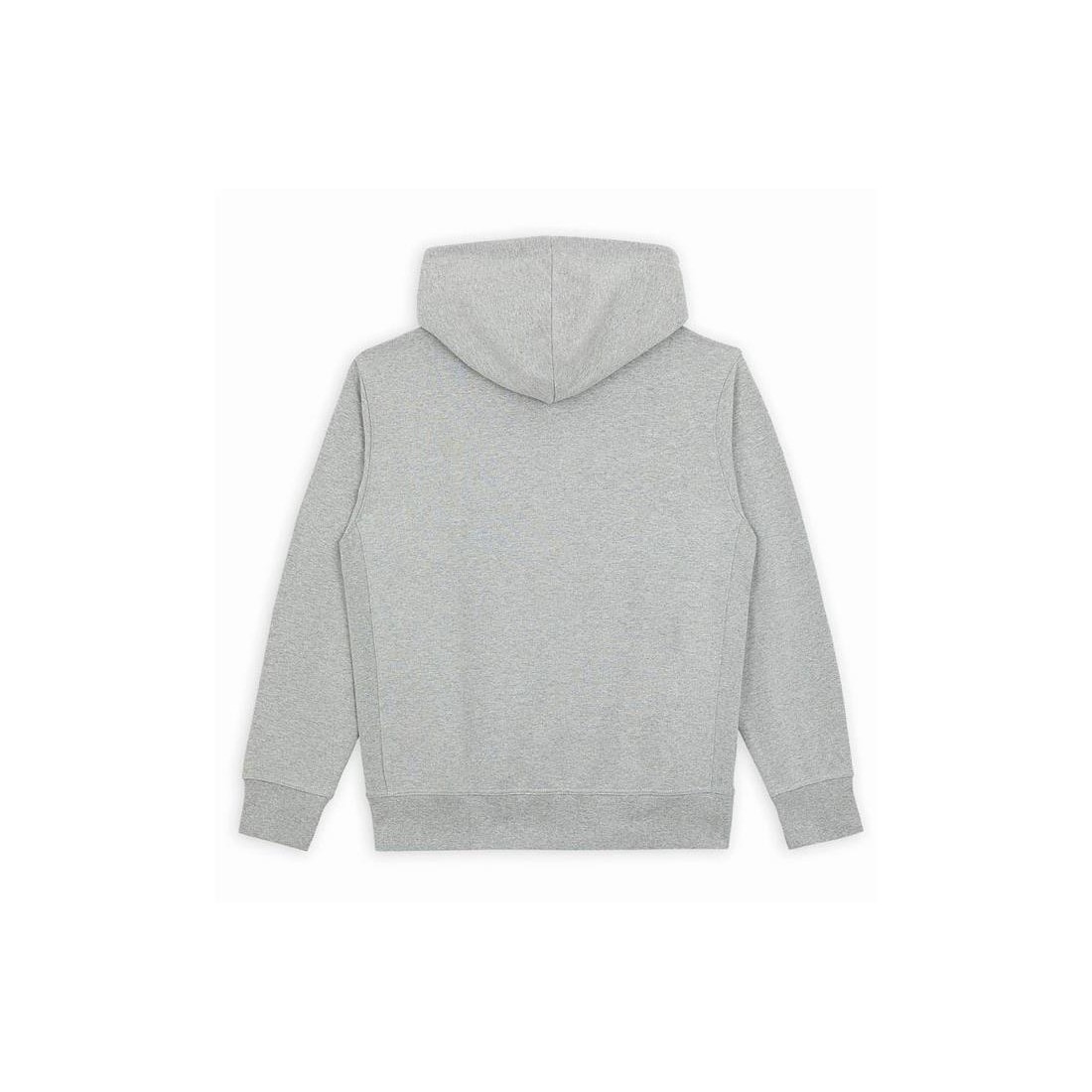 DICKIES MOUNT VISTA HOODIE GRIS