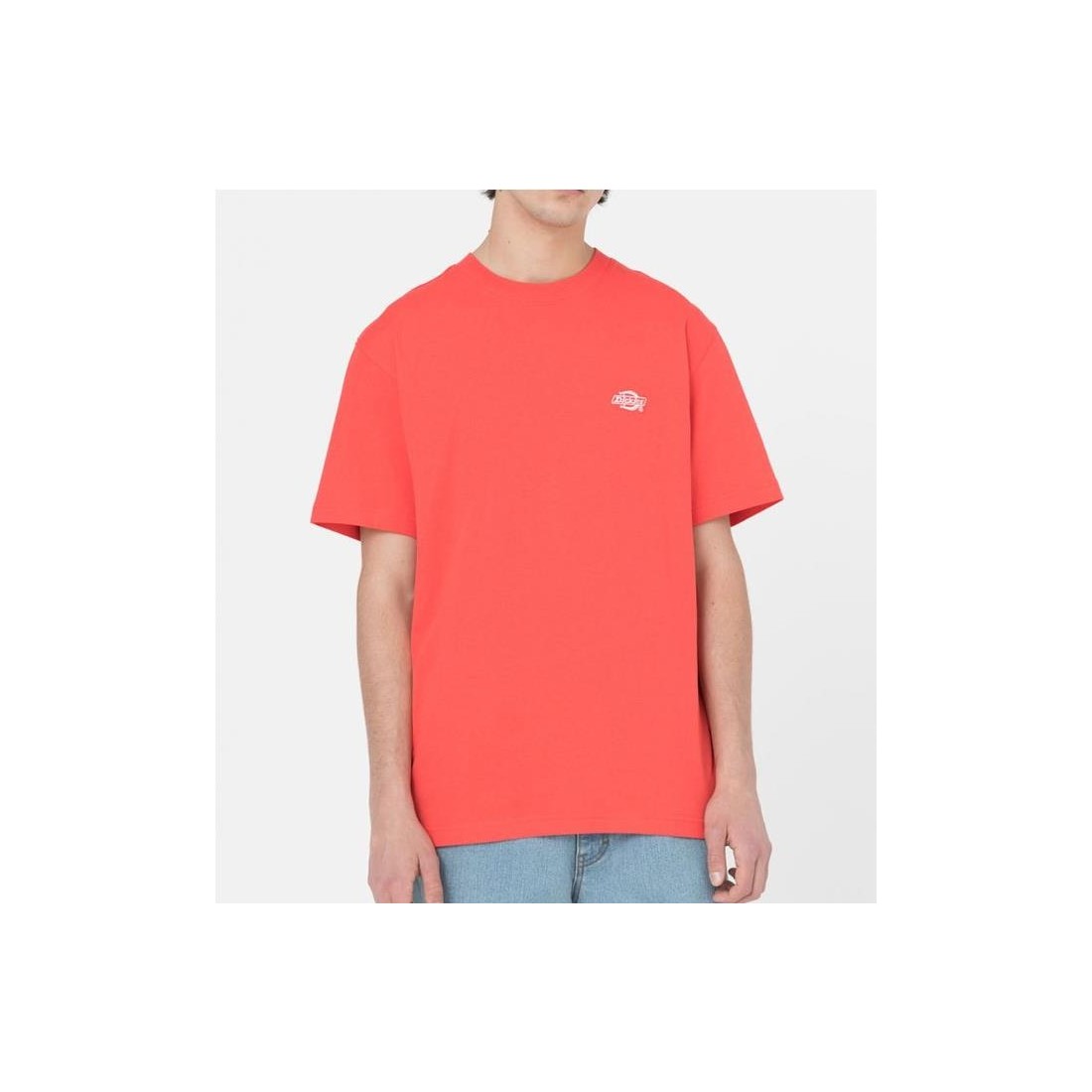 DICKIES SUMMERDALE TEE ROJO
