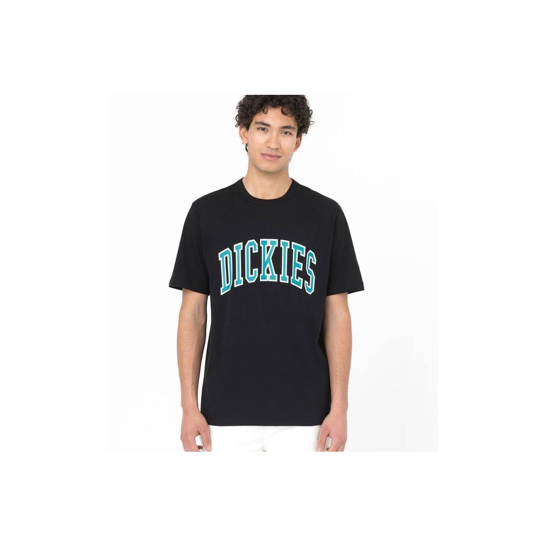 DICKIES AITKIN TEE NEGRO