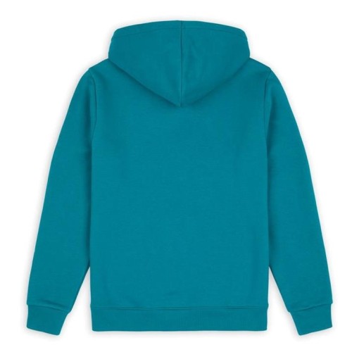 DICKIES ICON LOGO HOODIE VERDE CLARO 2