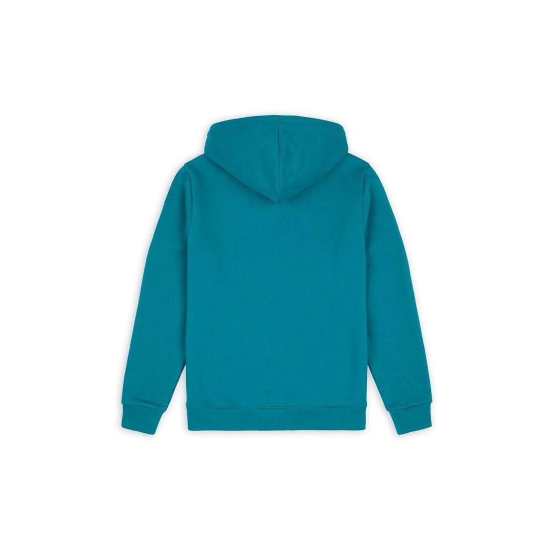 DICKIES ICON LOGO HOODIE VERDE CLARO