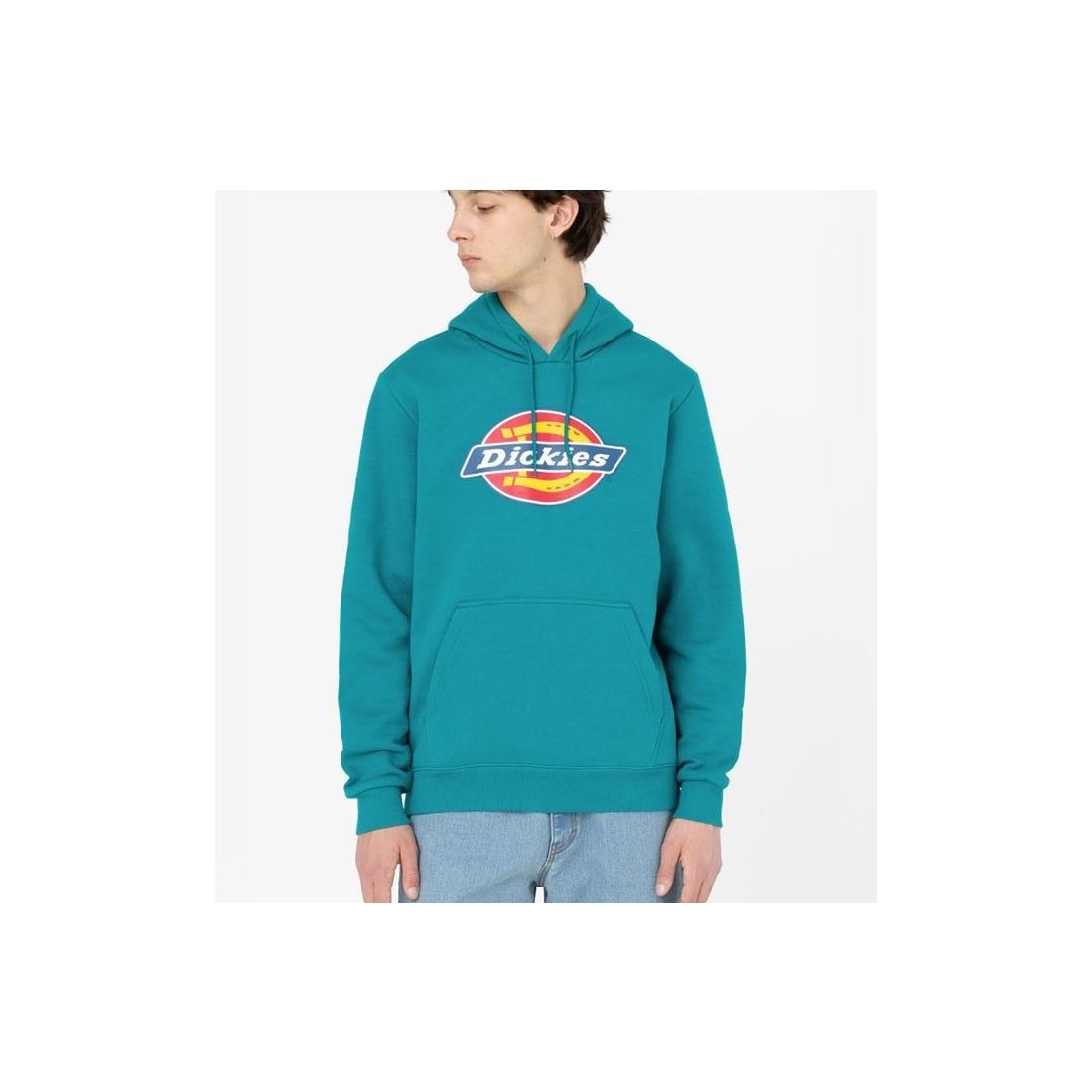 DICKIES ICON LOGO HOODIE VERDE CLARO