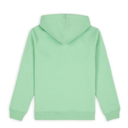 DICKIES OAKPORT HOODIE MENTA 2
