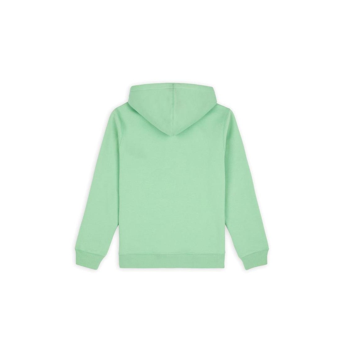 DICKIES OAKPORT HOODIE MENTA