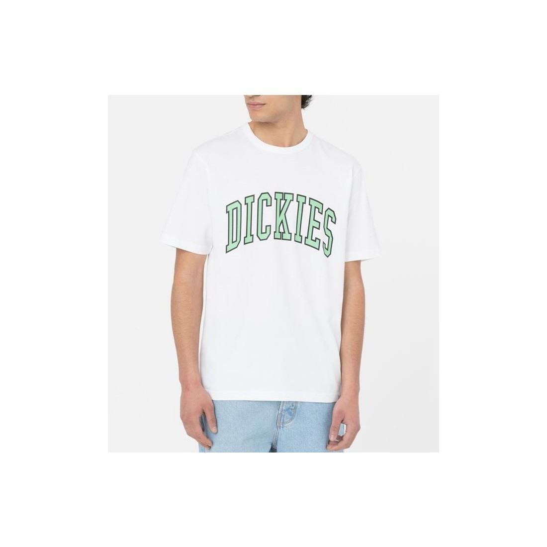DICKIES AITKIN TEE BLANCO