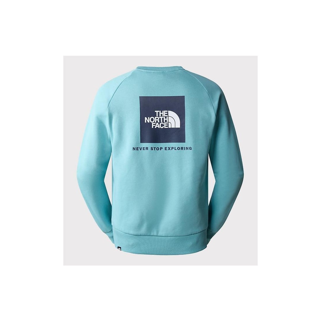 THE NORTH FACE RED BOX CREW AZUL