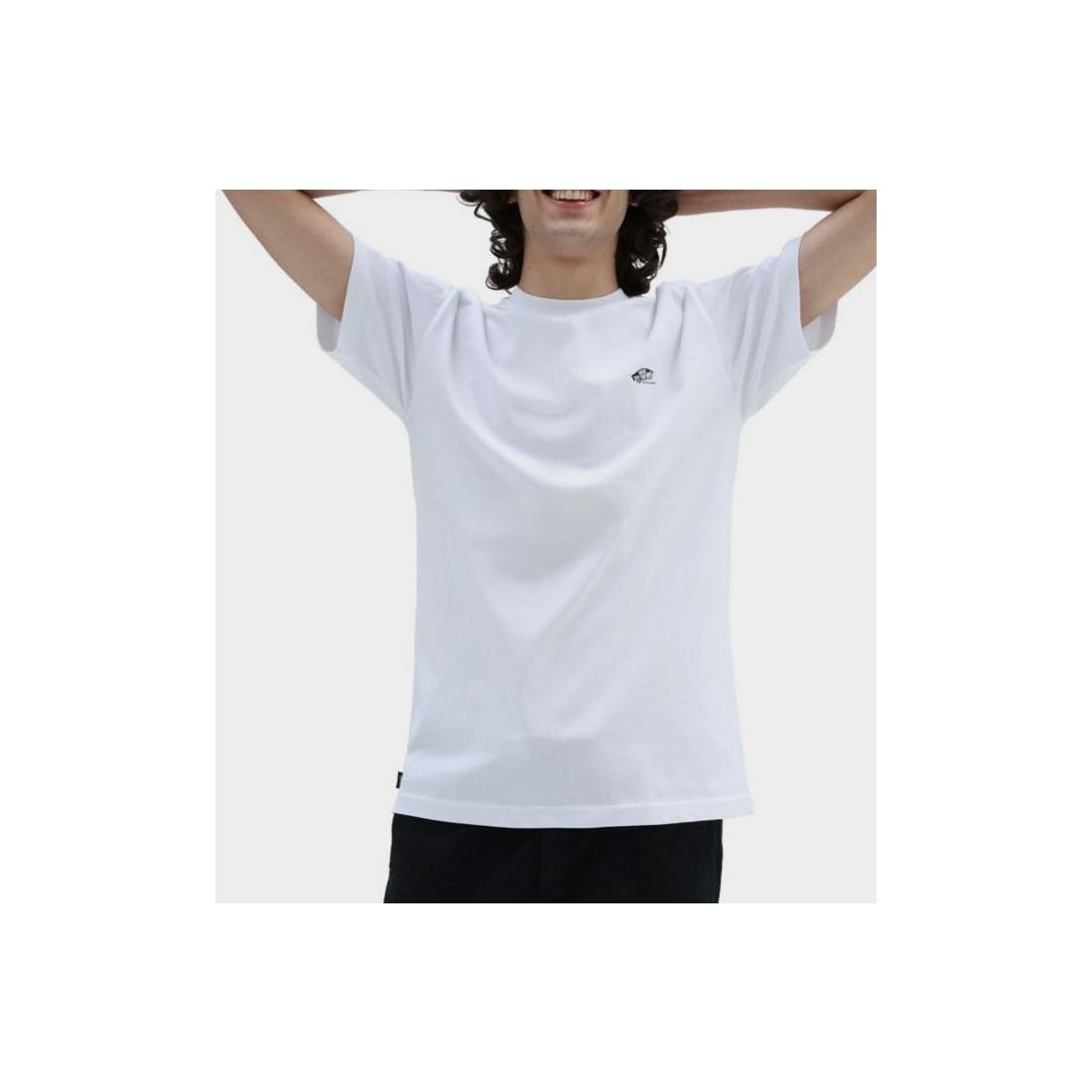 VANS SKATE CLASSIC TEE BLANCO