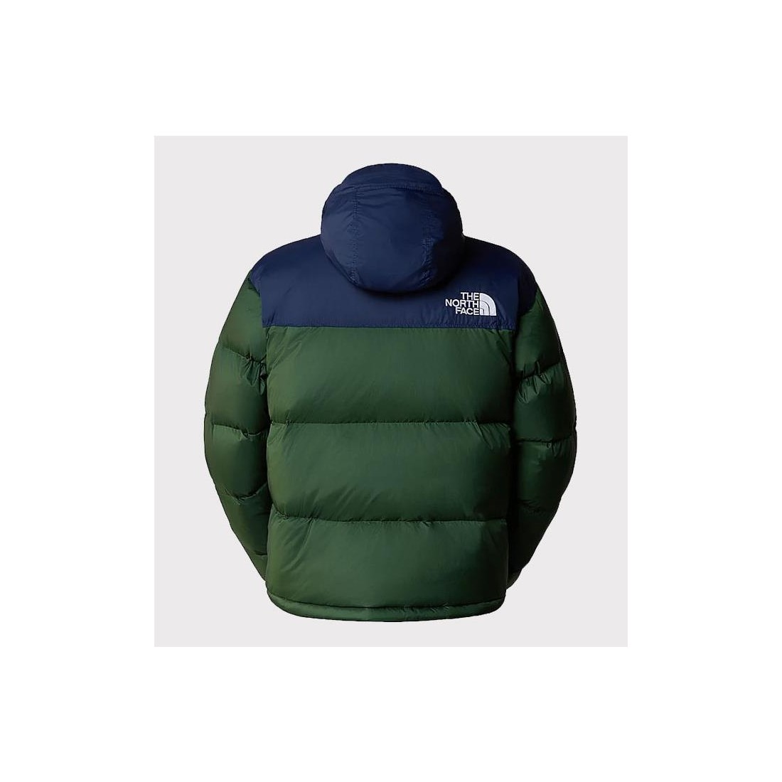 THE NORHT FACE 96 RETRO NUPTSE VERDE
