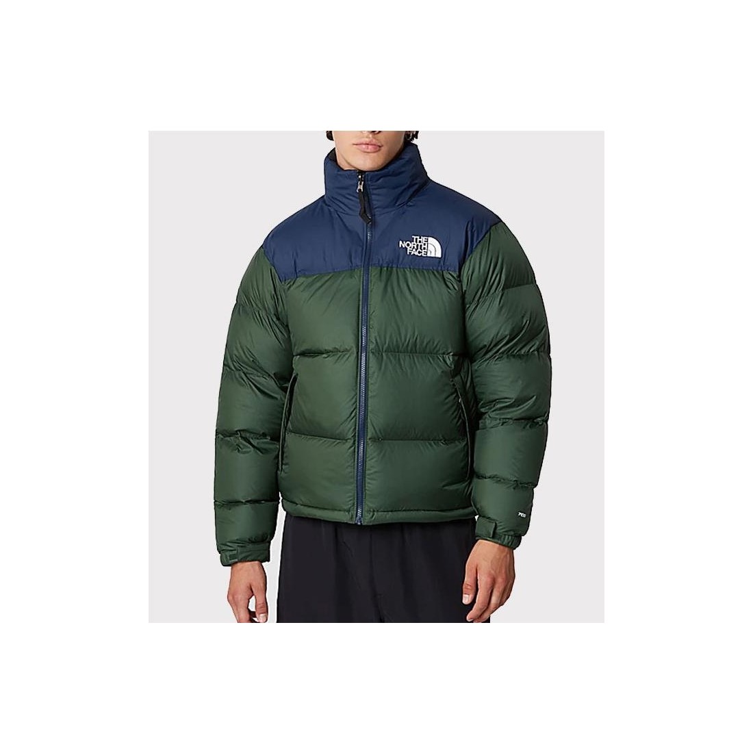 THE NORHT FACE 96 RETRO NUPTSE VERDE