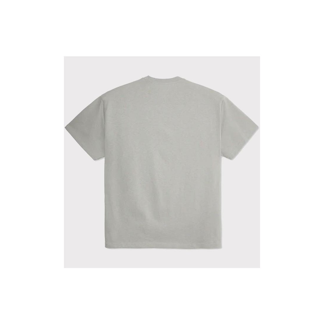 POLAR CORE TEE GRIS