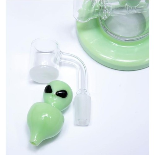 RIPNDIP WE OUT HERE MINI RIG VERDE