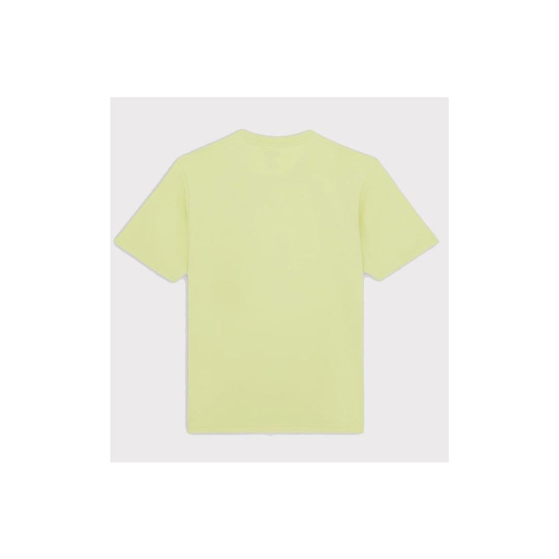 DICKIES SS MAPLETON TEE LIMA
