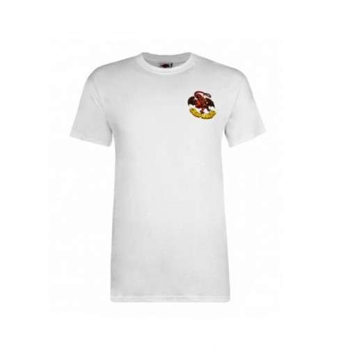 POWELL PERALTA CAB DRAGON II T BLANCO