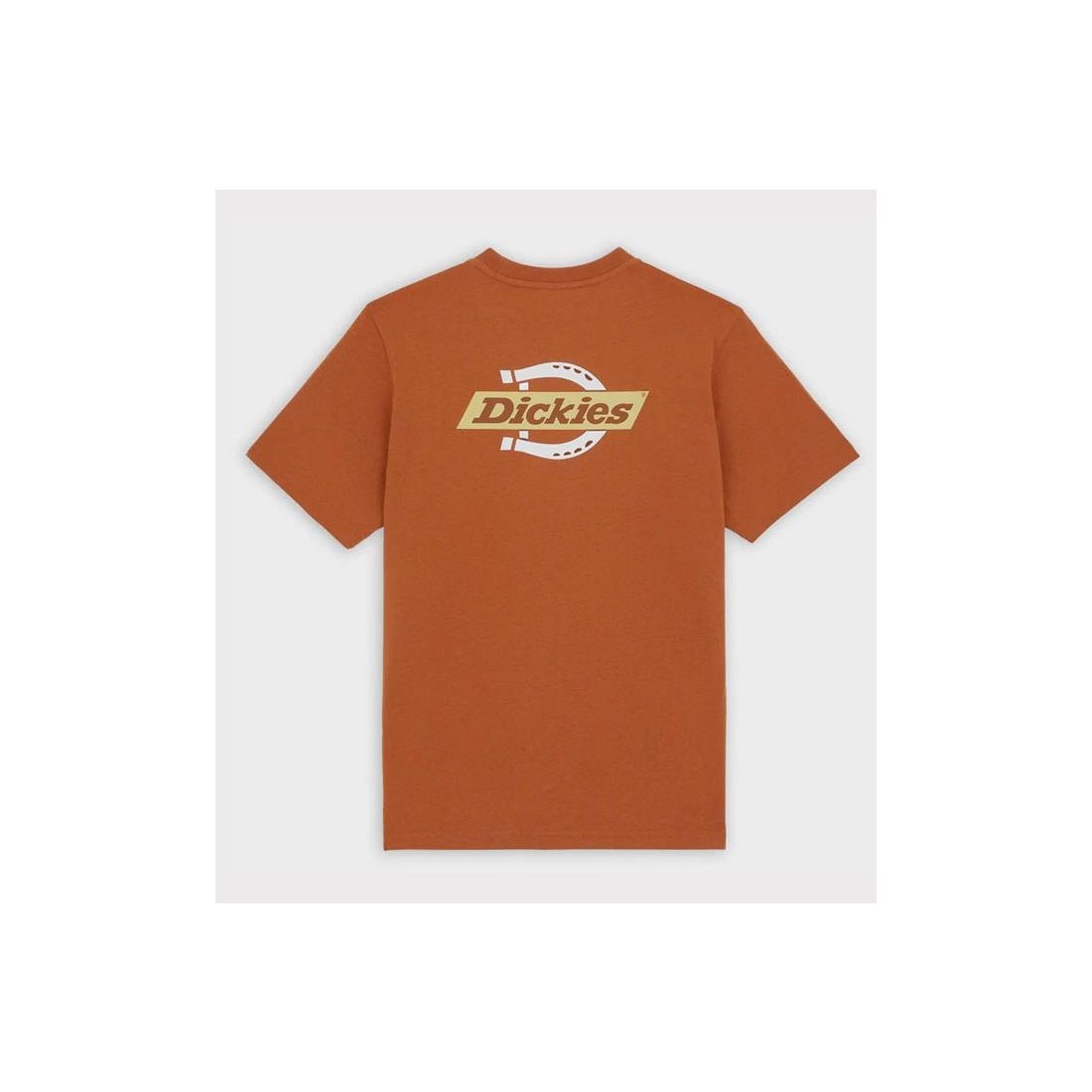 DICKIES RUSTON TEE NARANJA