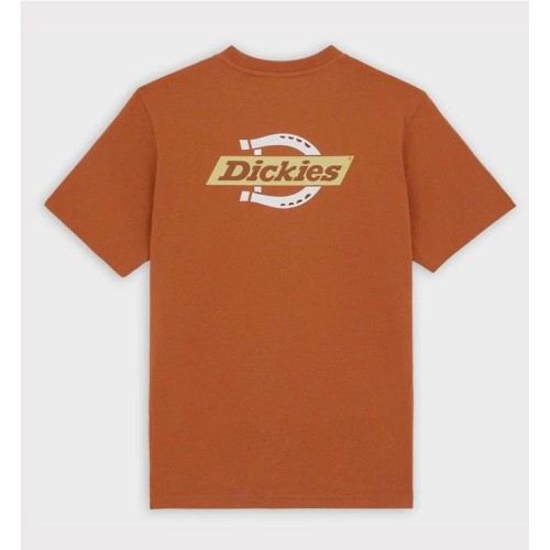 DICKIES RUSTON TEE NARANJA