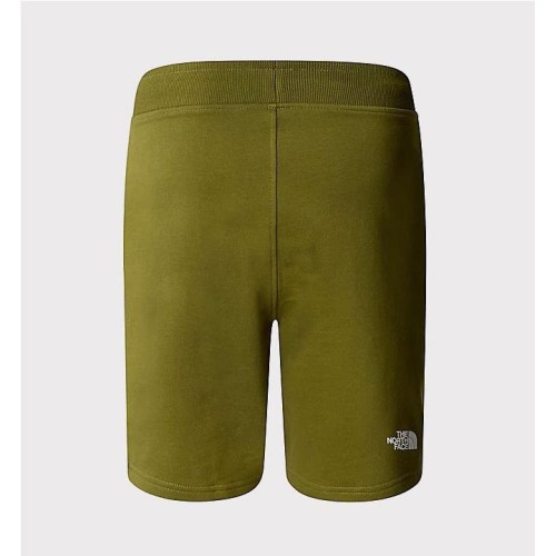 THE NORTH FACE STAND SHORT VERDE 2