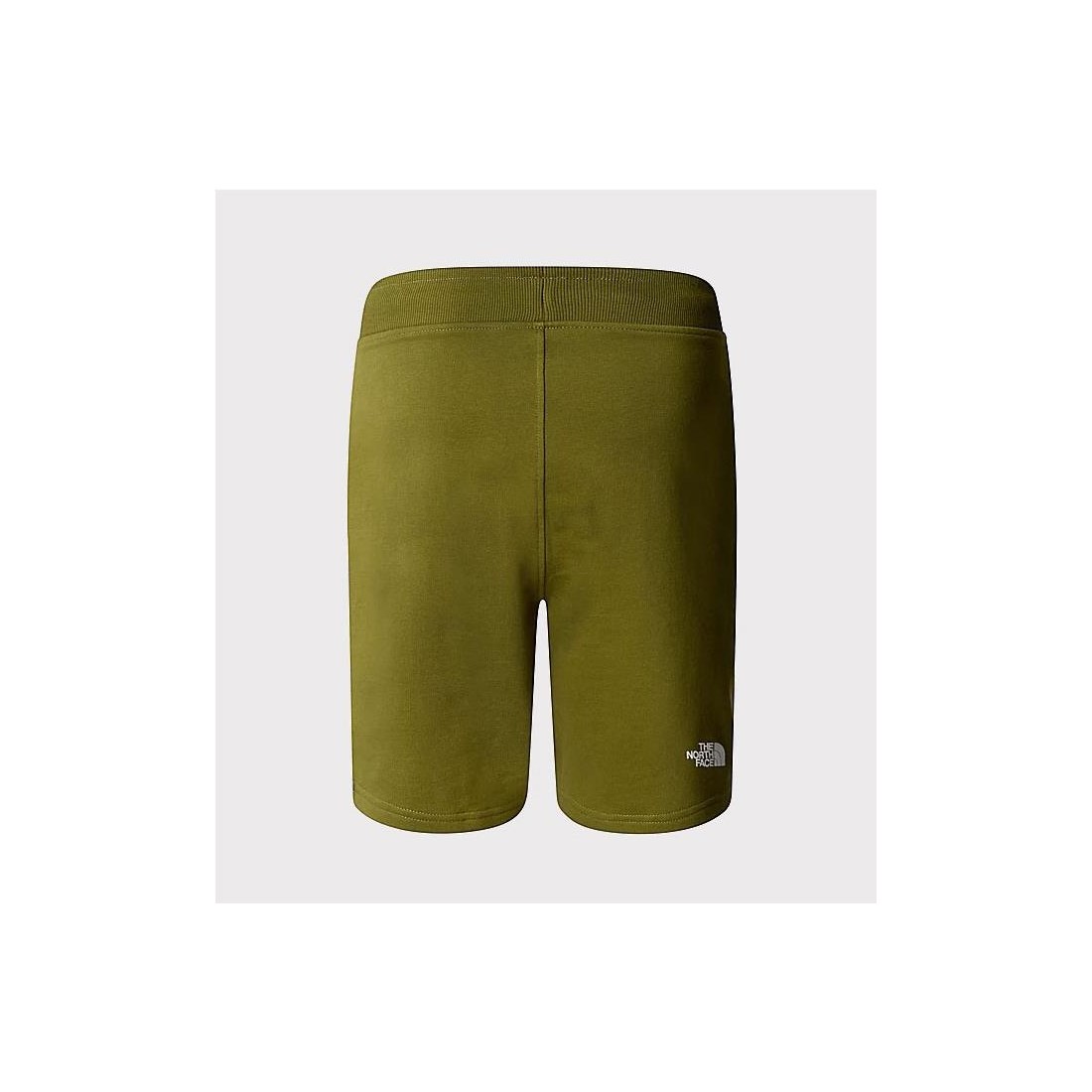 THE NORTH FACE STAND SHORT VERDE