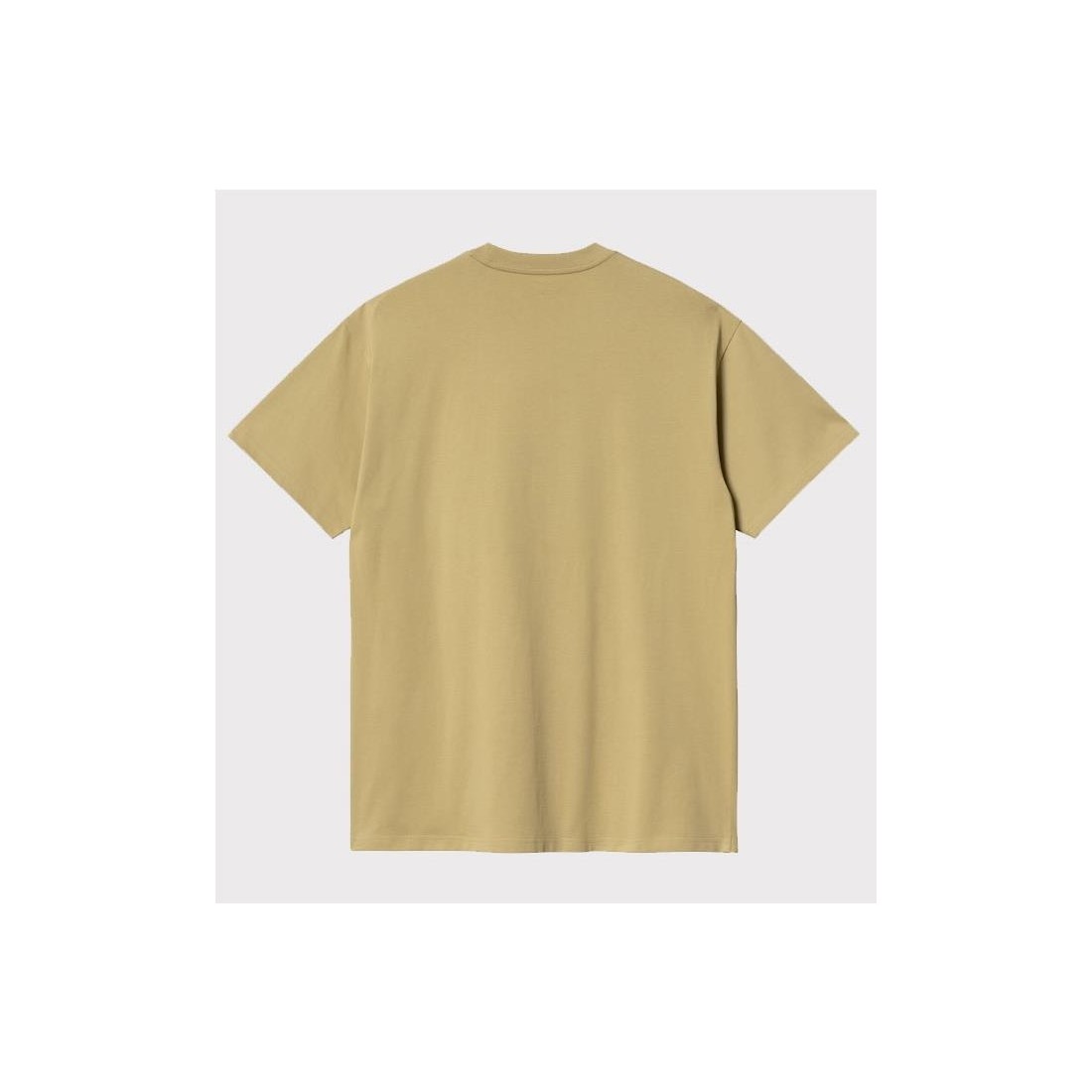 CARHARTT WIP SCRIPT EMBROIDERY MULTICOLOR
