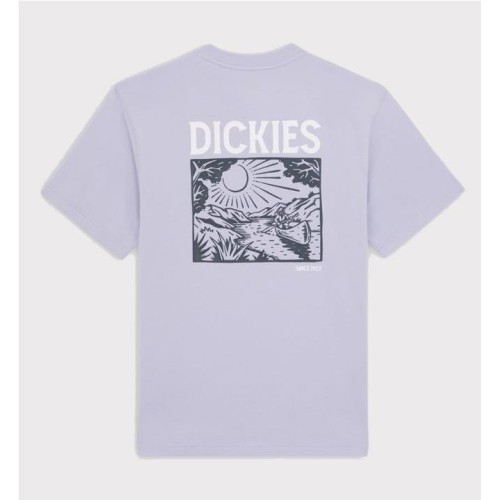 DICKIES PATRICK SPRINGS TEE AZUL