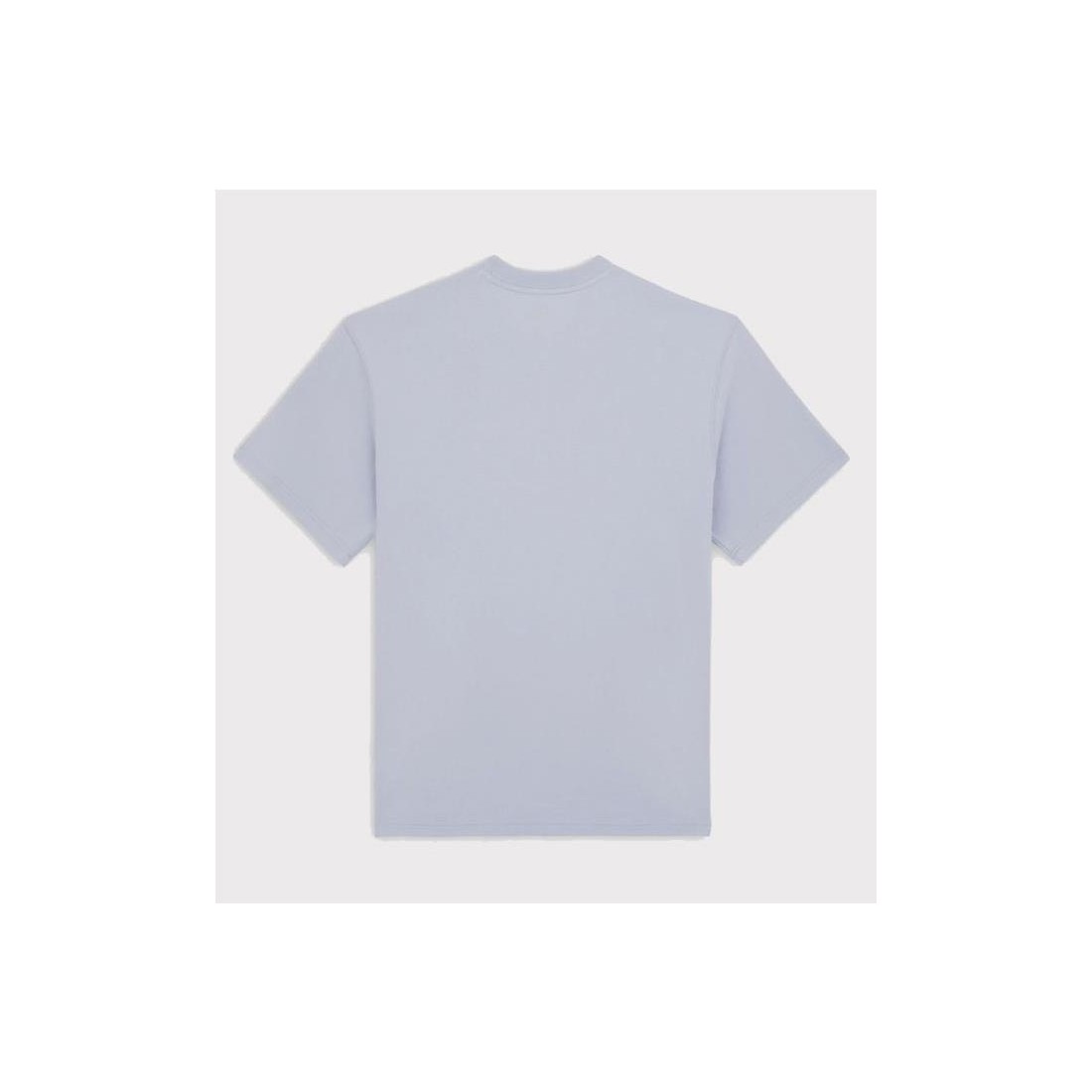 DICKIES SALTVILLE TEE LILA