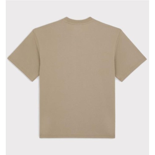 DICKIES SALTVILLE TEE BEIGE 2