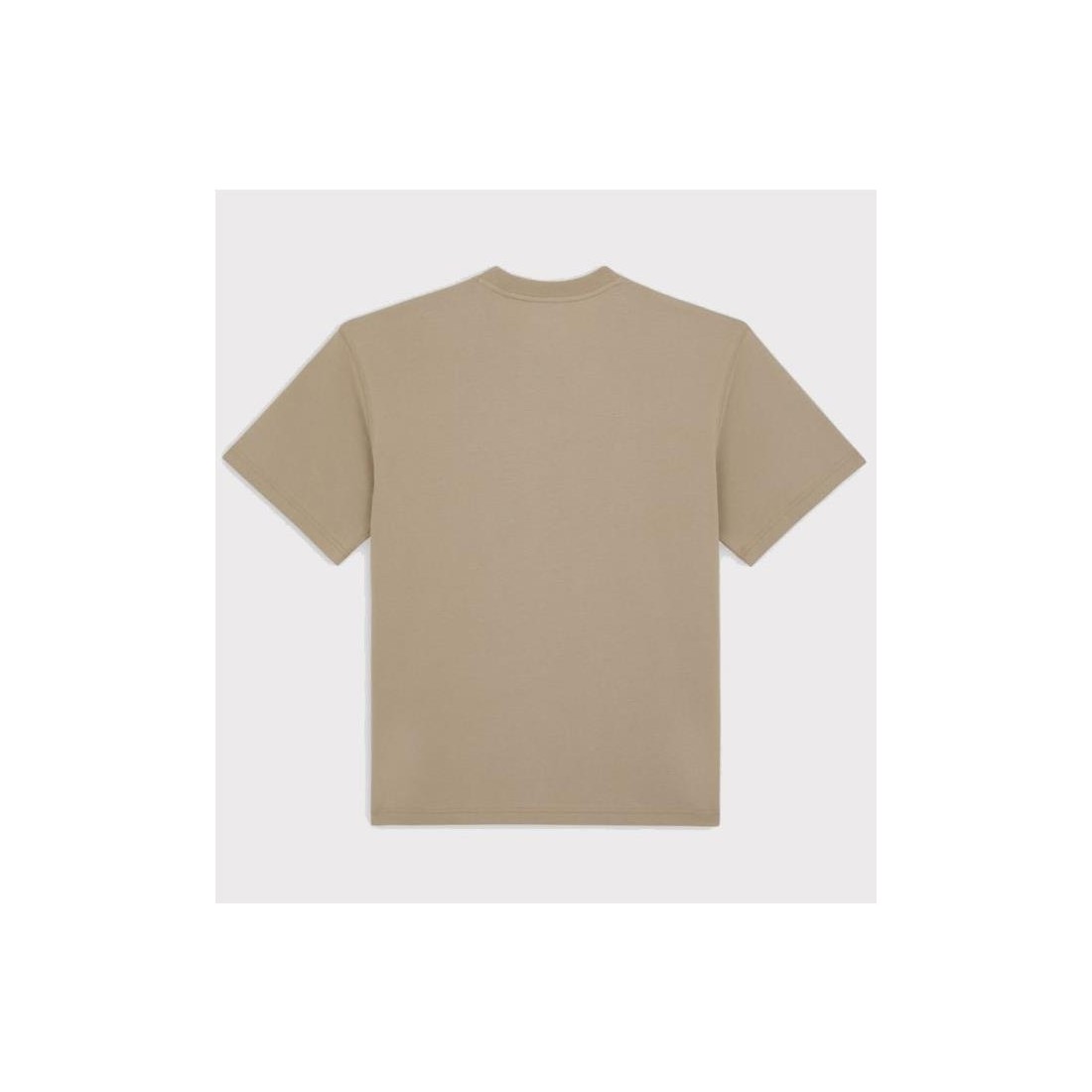 DICKIES SALTVILLE TEE BEIGE