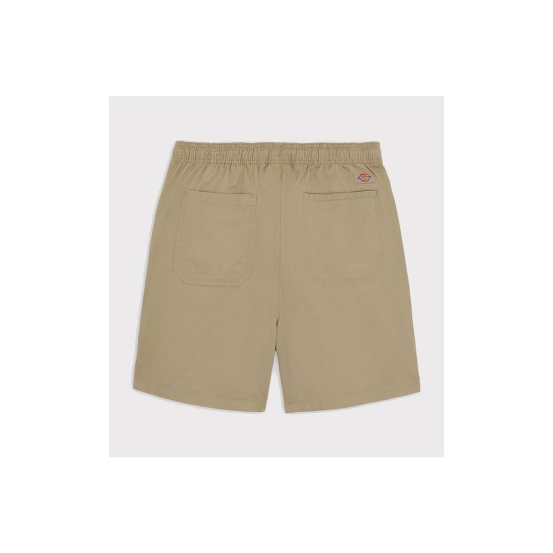 DICKIES PELICAN RAPIDS BEIGE1