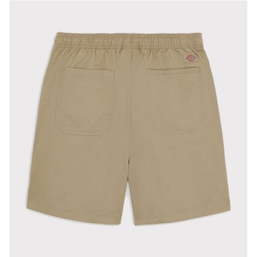 DICKIES PELICAN RAPIDS BEIGE1