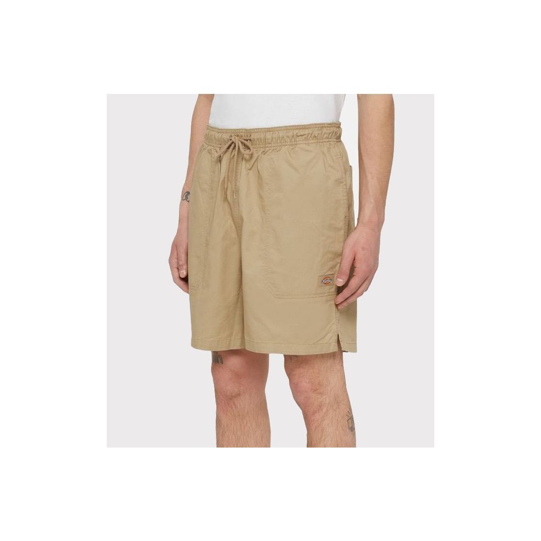 DICKIES PELICAN RAPIDS BEIGE1