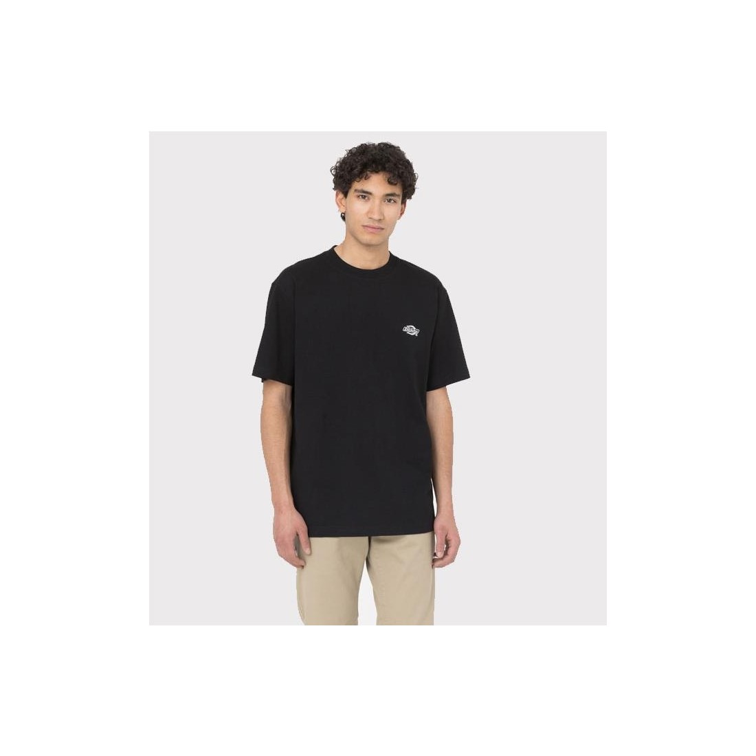 DICKIES SUMMERDALE TEE NEGRO