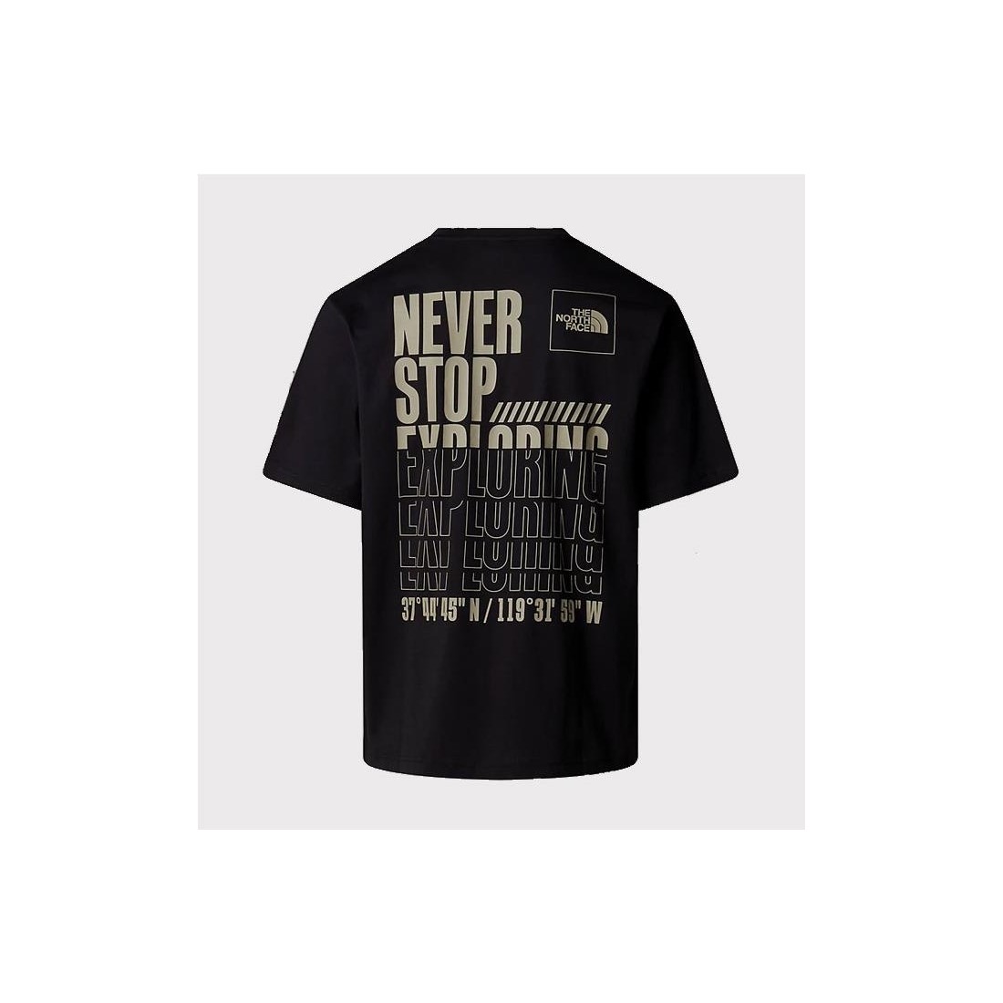 THE NORTH FACE COORDINATES TEE NEGRO