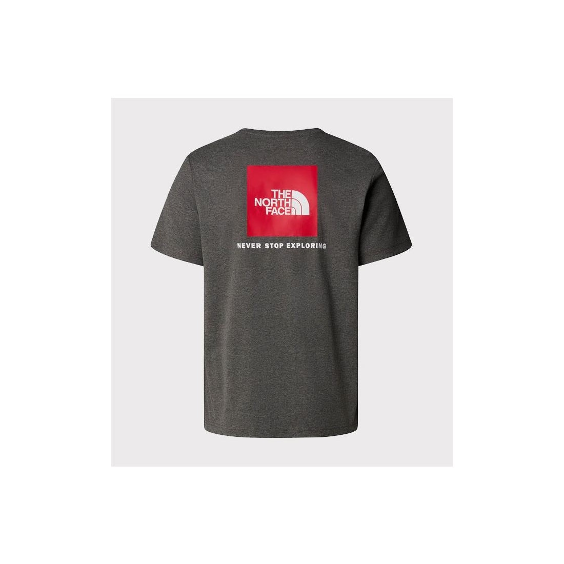 THE NORTH FACE REDBOX TEE GRIS
