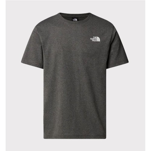 THE NORTH FACE REDBOX TEE GRIS 2