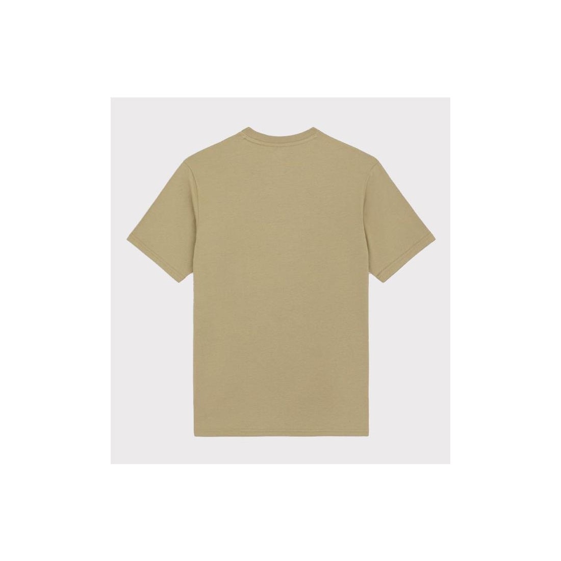 DICKIES MAPLETON TEE VERDE