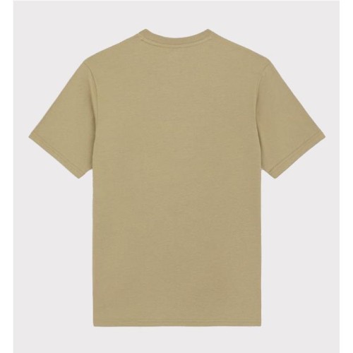 DICKIES MAPLETON TEE VERDE