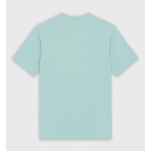DICKIES MAPLETON TEE AZUL 2