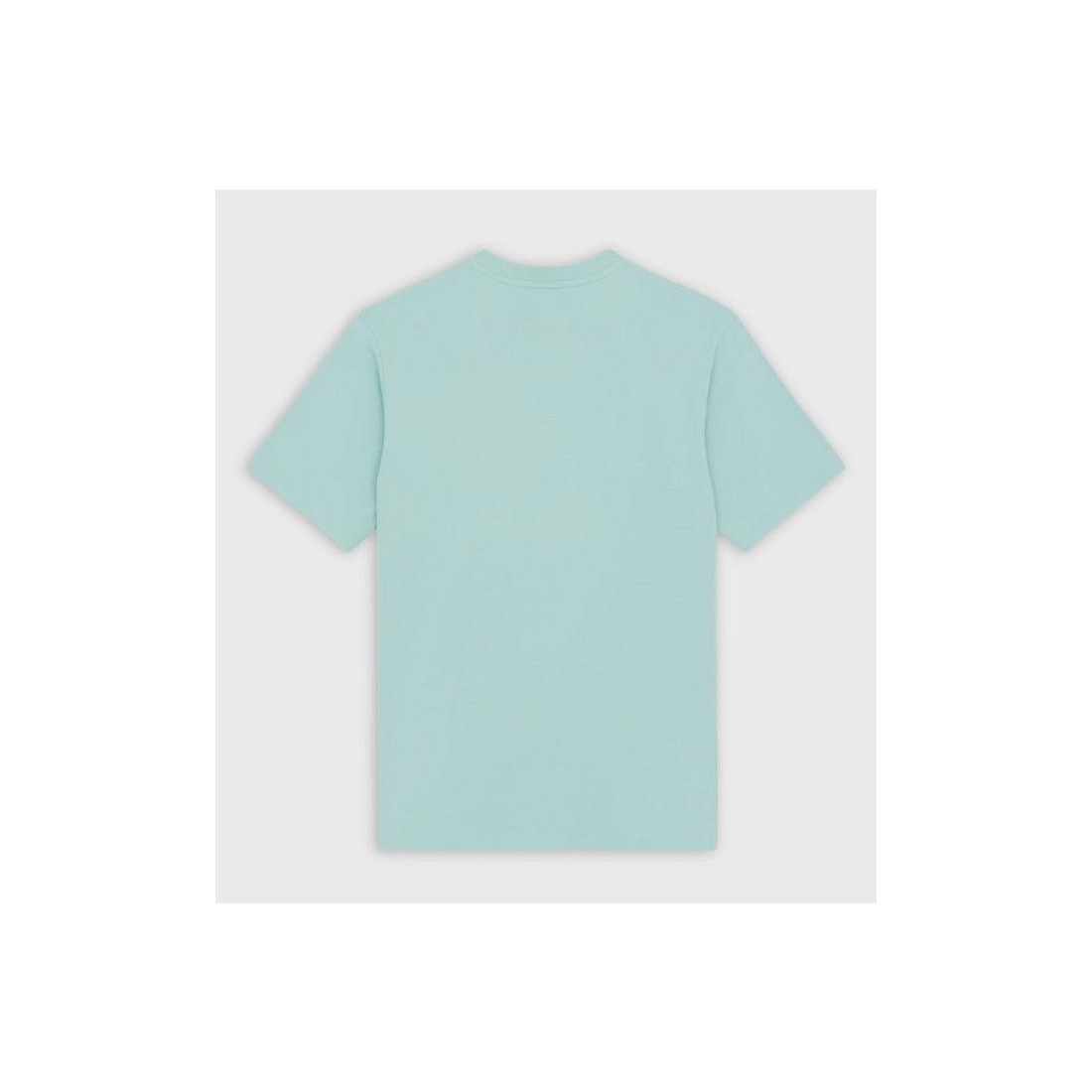 DICKIES MAPLETON TEE AZUL