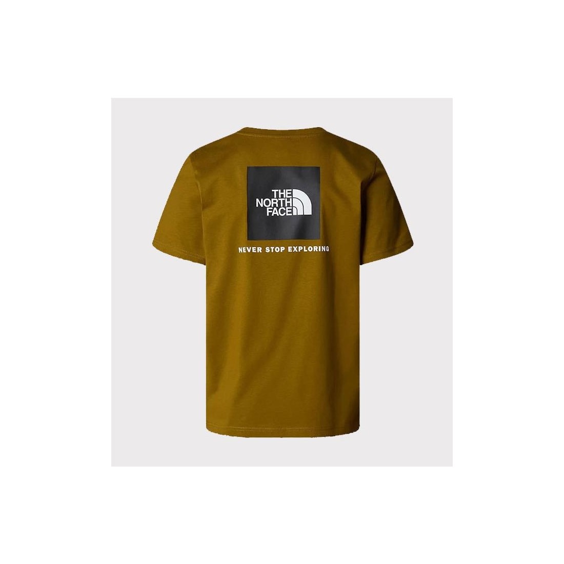 THE NORTH FACE REDBOX TEE VERDE
