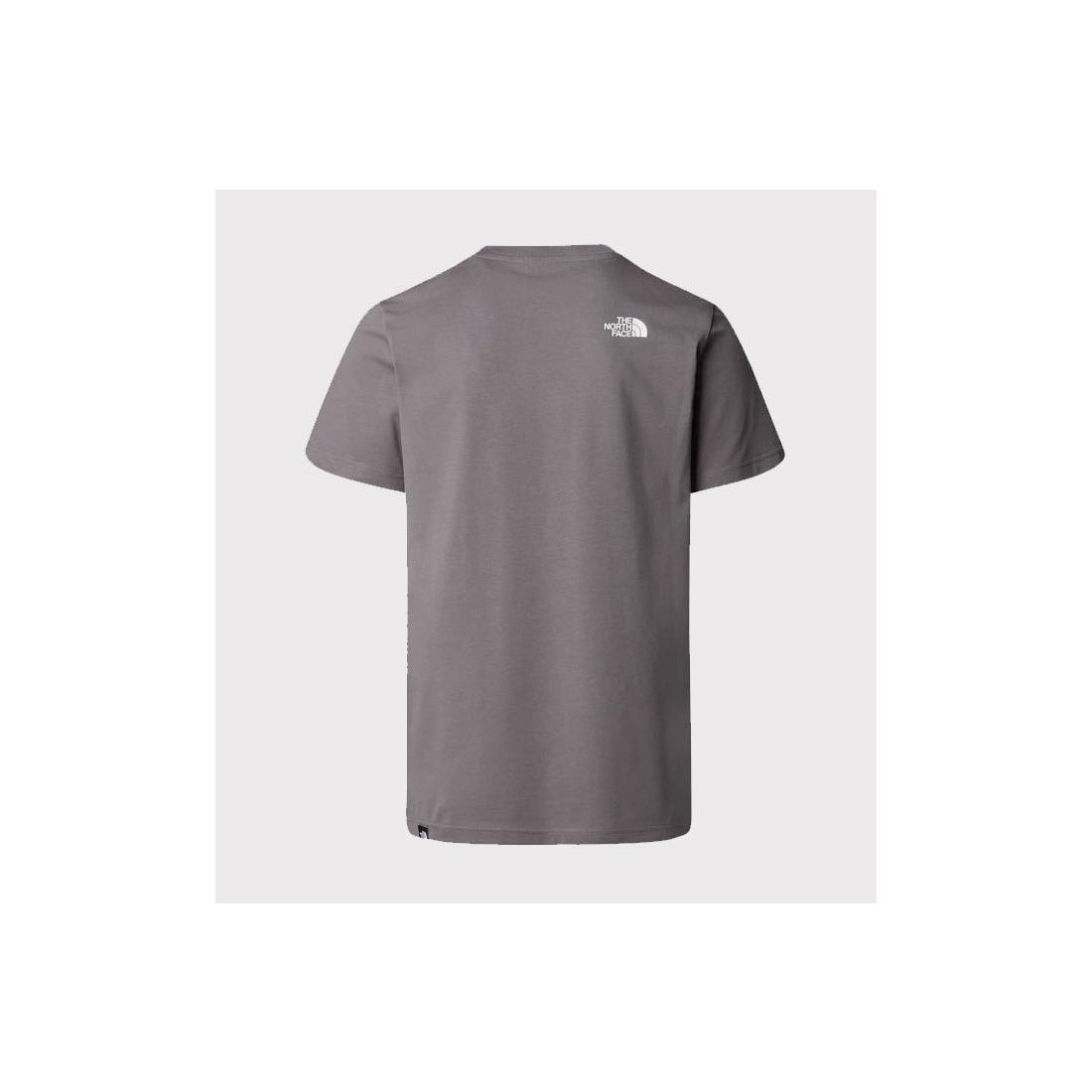 THE NORTH FACE SIMPLE DOME TEE GRIS